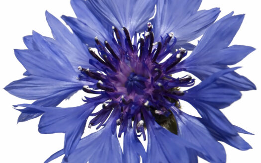 Имидж агентства